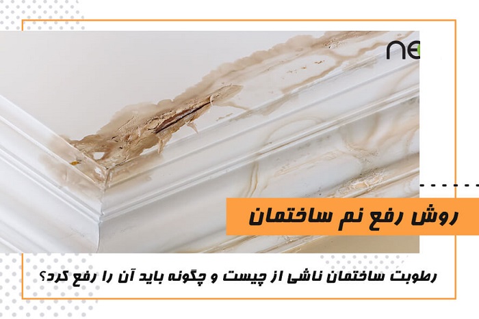 هزینه رفع نم و رطوبت ساختمان در کرج